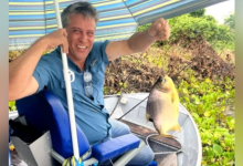 Ricardo Chimirri Candia reforça que os primeiros socorros são fundamentais para proteger a equipa e garantir segurança no setor de engenharia.