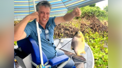 Ricardo Chimirri Candia reforça que os primeiros socorros são fundamentais para proteger a equipa e garantir segurança no setor de engenharia.