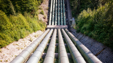 Paulo Roberto Gomes Fernandes ressalta como os estudos de riscos ambientais assumem papel central na agenda da indústria de dutos na América do Sul.