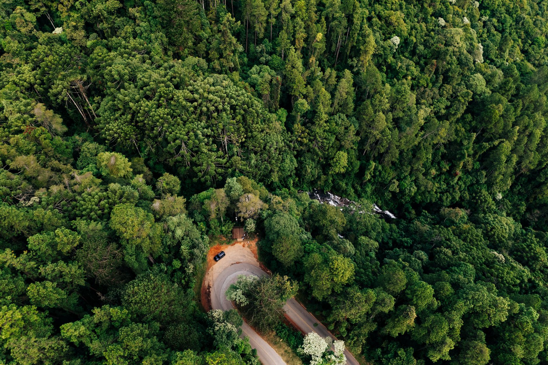 Vista aérea de uma floresta verde atravessada por uma estrada sinuosa em área montanhosa.