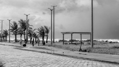 Calçadão da orla de Peruíbe, com palmeiras e o mar ao fundo, sob céu nublado.