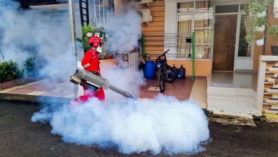 Agente de controle de pragas usa uma máquina de fumaça para pulverizar a área externa de uma residência.